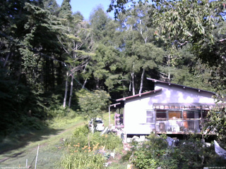 長野県菅平高原 ゆたか山荘 西側(坂上) 2025/08/04 07:30