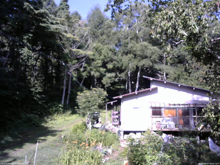 長野県菅平高原 ゆたか山荘 西側(坂上) 2025/08/04 08:00