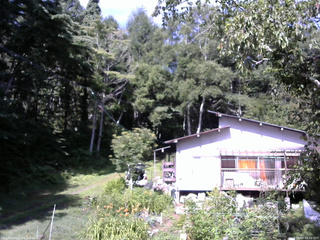 長野県菅平高原 ゆたか山荘 西側(坂上) 2025/08/04 08:45