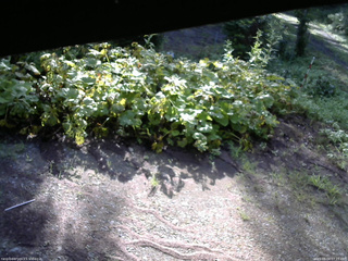 長野県菅平高原 ゆたか山荘 駐車場 2025/08/04 07:15