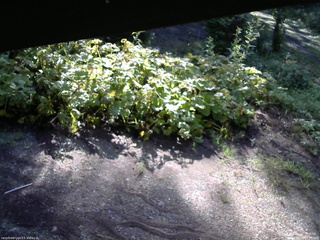 長野県菅平高原 ゆたか山荘 駐車場 2025/08/04 07:30