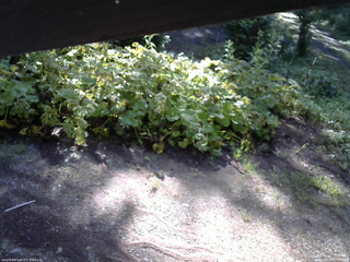 長野県菅平高原 ゆたか山荘 駐車場 2025/08/04 07:45