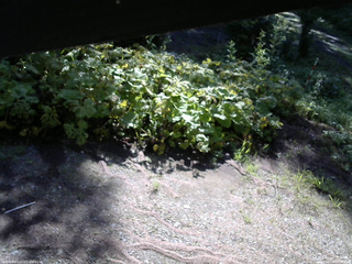長野県菅平高原 ゆたか山荘 駐車場 2025/08/04 08:00