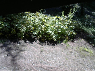 長野県菅平高原 ゆたか山荘 駐車場 2025/08/04 08:15