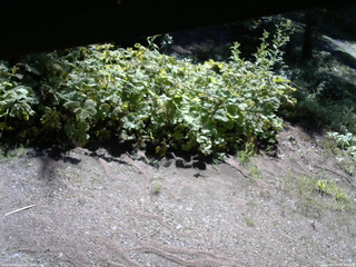 長野県菅平高原 ゆたか山荘 駐車場 2025/08/04 08:30