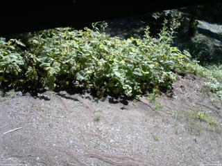 長野県菅平高原 ゆたか山荘 駐車場 2025/08/04 08:45