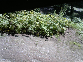 長野県菅平高原 ゆたか山荘 駐車場 2025/08/04 09:00