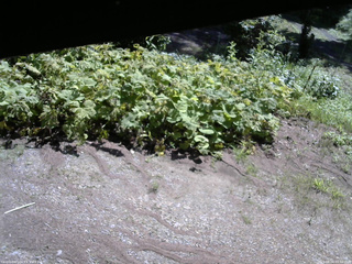 長野県菅平高原 ゆたか山荘 駐車場 2025/08/04 09:30