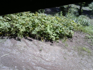 長野県菅平高原 ゆたか山荘 駐車場 2025/08/04 09:45