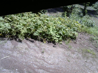 長野県菅平高原 ゆたか山荘 駐車場 2025/08/04 10:00