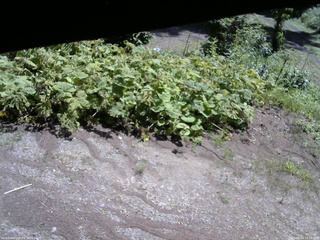 長野県菅平高原 ゆたか山荘 駐車場 2025/08/04 10:15