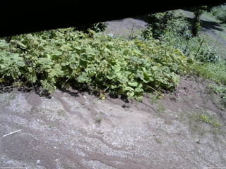 長野県菅平高原 ゆたか山荘 駐車場 2025/08/04 10:30