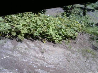 長野県菅平高原 ゆたか山荘 駐車場 2025/08/04 10:45