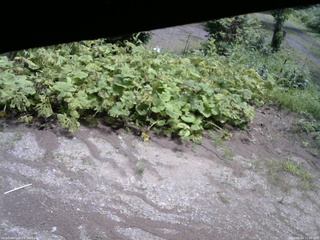 長野県菅平高原 ゆたか山荘 駐車場 2025/08/04 11:00