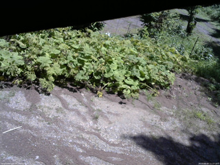 長野県菅平高原 ゆたか山荘 駐車場 2025/08/04 11:15