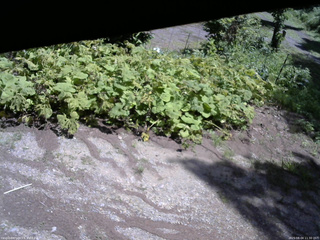 長野県菅平高原 ゆたか山荘 駐車場 2025/08/04 11:30