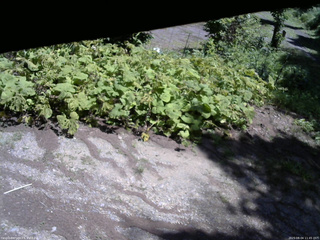 長野県菅平高原 ゆたか山荘 駐車場 2025/08/04 11:45