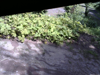 長野県菅平高原 ゆたか山荘 駐車場 2025/08/04 12:15