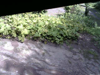 長野県菅平高原 ゆたか山荘 駐車場 2025/08/04 12:30