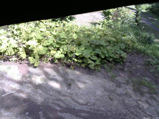 長野県菅平高原 ゆたか山荘 駐車場 2025/08/04 12:45