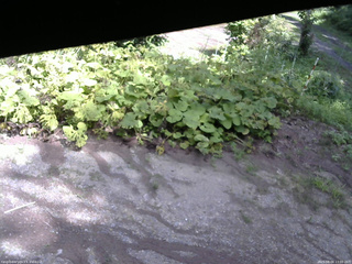 長野県菅平高原 ゆたか山荘 駐車場 2025/08/04 13:00