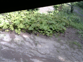 長野県菅平高原 ゆたか山荘 駐車場 2025/08/04 13:15