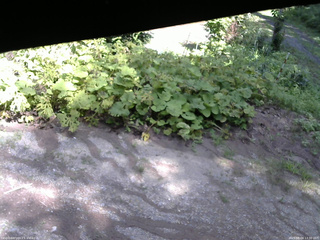 長野県菅平高原 ゆたか山荘 駐車場 2025/08/04 13:30