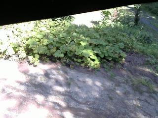 長野県菅平高原 ゆたか山荘 駐車場 2025/08/04 13:45