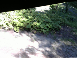 長野県菅平高原 ゆたか山荘 駐車場 2025/08/04 14:00