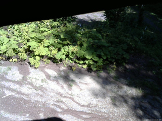 長野県菅平高原 ゆたか山荘 駐車場 2025/08/04 14:15