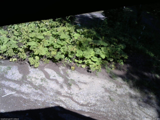 長野県菅平高原 ゆたか山荘 駐車場 2025/08/04 14:30