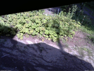 長野県菅平高原 ゆたか山荘 駐車場 2025/08/04 15:30