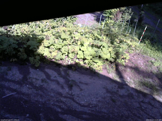 長野県菅平高原 ゆたか山荘 駐車場 2025/08/04 15:45