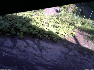 長野県菅平高原 ゆたか山荘 駐車場 2025/08/04 16:00