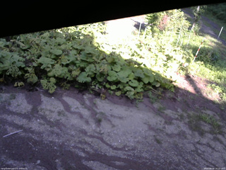 長野県菅平高原 ゆたか山荘 駐車場 2025/08/04 16:15