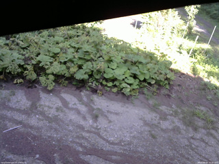 長野県菅平高原 ゆたか山荘 駐車場 2025/08/04 16:30