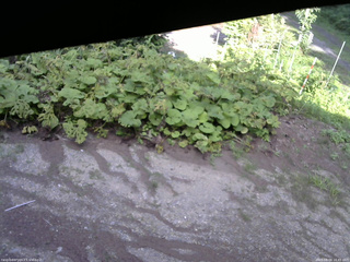 長野県菅平高原 ゆたか山荘 駐車場 2025/08/04 16:45