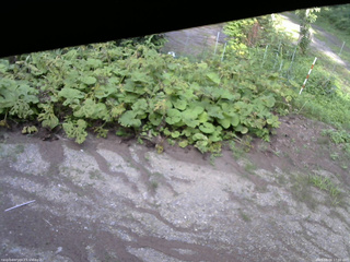 長野県菅平高原 ゆたか山荘 駐車場 2025/08/04 17:00