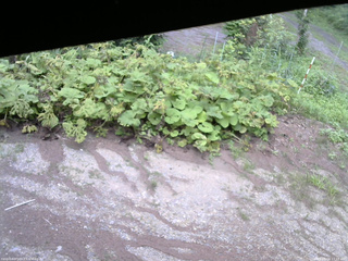 長野県菅平高原 ゆたか山荘 駐車場 2025/08/04 17:15