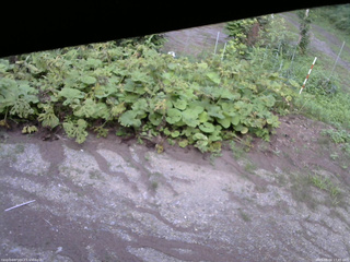 長野県菅平高原 ゆたか山荘 駐車場 2025/08/04 17:45