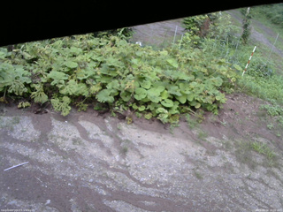 長野県菅平高原 ゆたか山荘 駐車場 2025/08/04 18:00