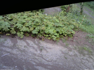 長野県菅平高原 ゆたか山荘 駐車場 2025/08/04 18:30