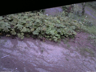 長野県菅平高原 ゆたか山荘 駐車場 2025/08/04 18:45