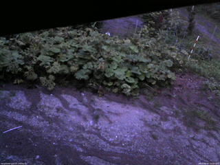 長野県菅平高原 ゆたか山荘 駐車場 2025/08/04 19:00