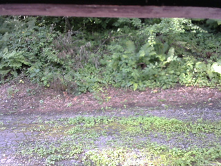 長野県菅平高原 ゆたか山荘 南側 2025/08/05 07:00