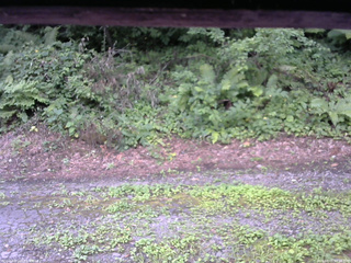 長野県菅平高原 ゆたか山荘 南側 2025/08/05 07:15