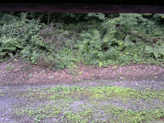 長野県菅平高原 ゆたか山荘 南側 2025/08/05 07:30