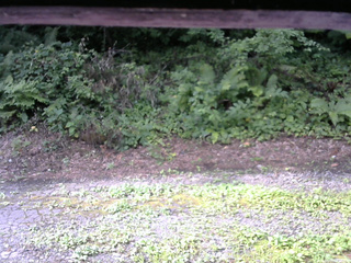 長野県菅平高原 ゆたか山荘 南側 2025/08/05 08:00