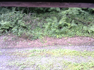 長野県菅平高原 ゆたか山荘 南側 2025/08/05 08:15