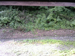 長野県菅平高原 ゆたか山荘 南側 2025/08/05 08:30